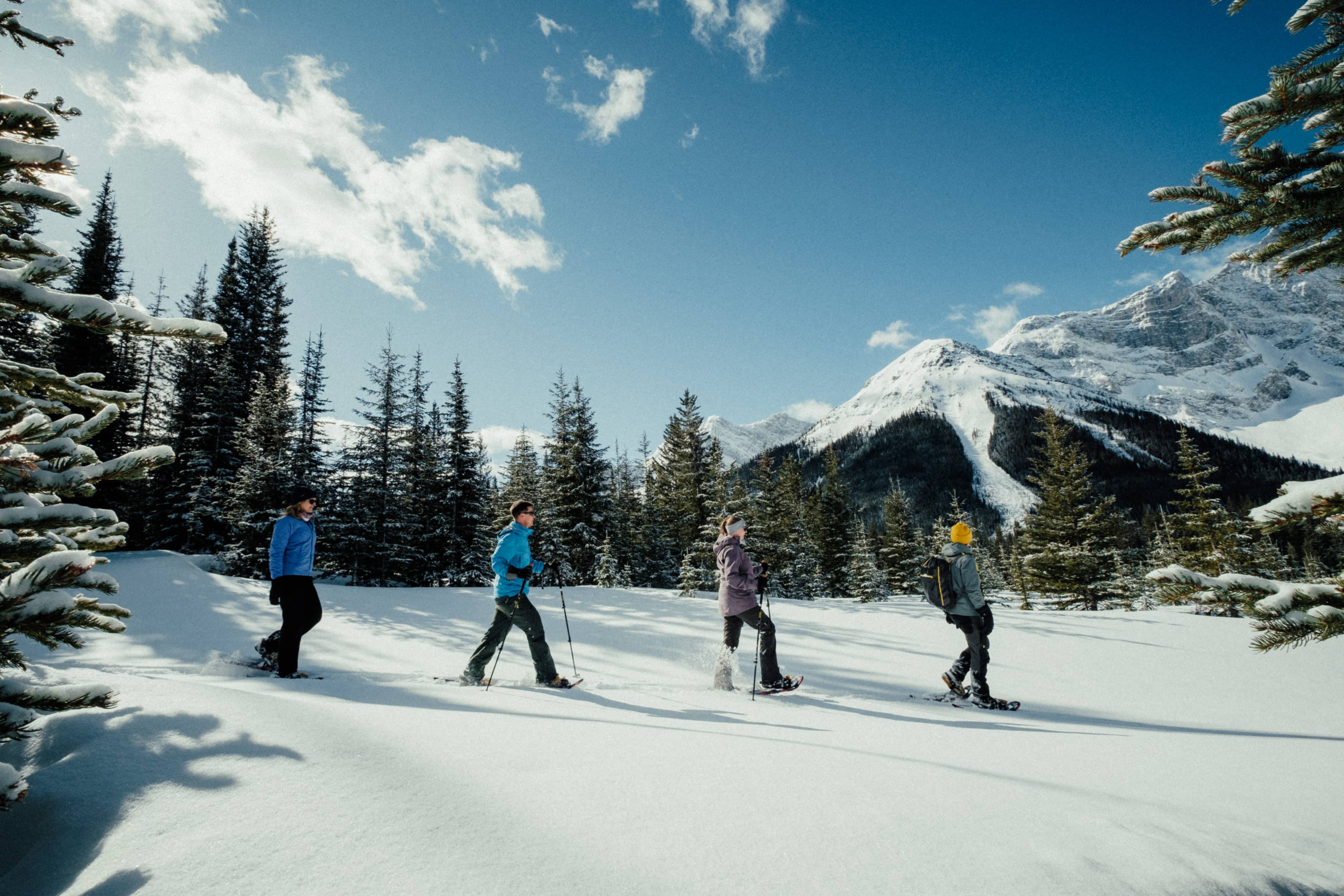 Raquetas de nieve en las Rocosas